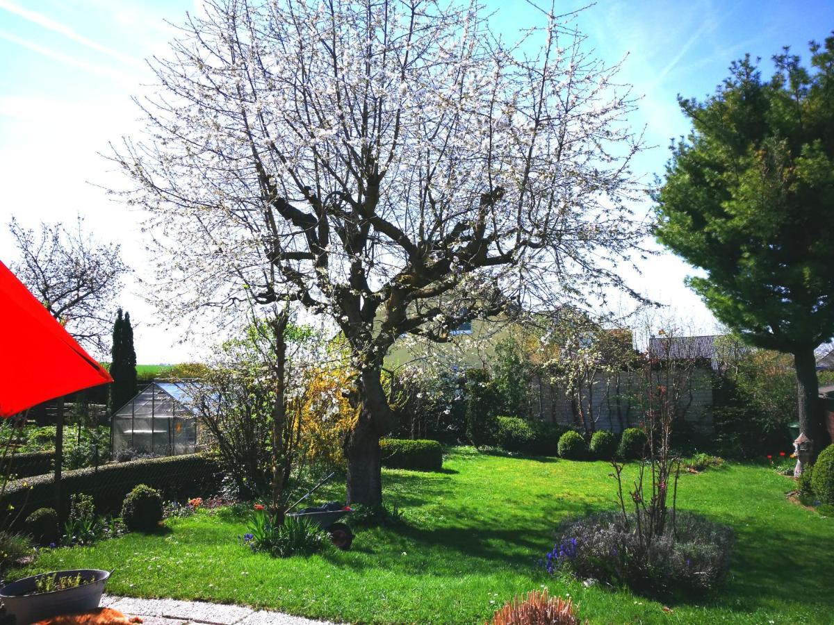 Ferienwohnung Varmissen Nah Bei Goettingen Dransfeld ภายนอก รูปภาพ